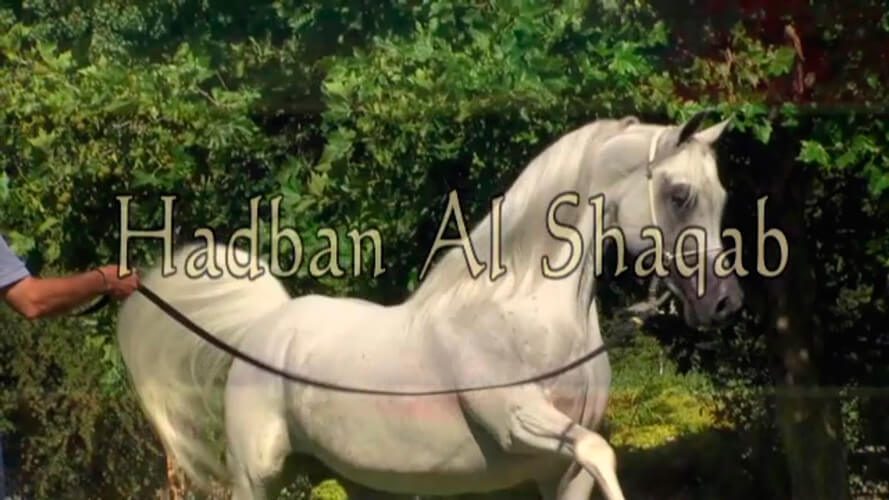 Hadban Al Shaqab